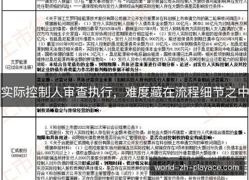 实际控制人审查执行，难度藏在流程细节之中